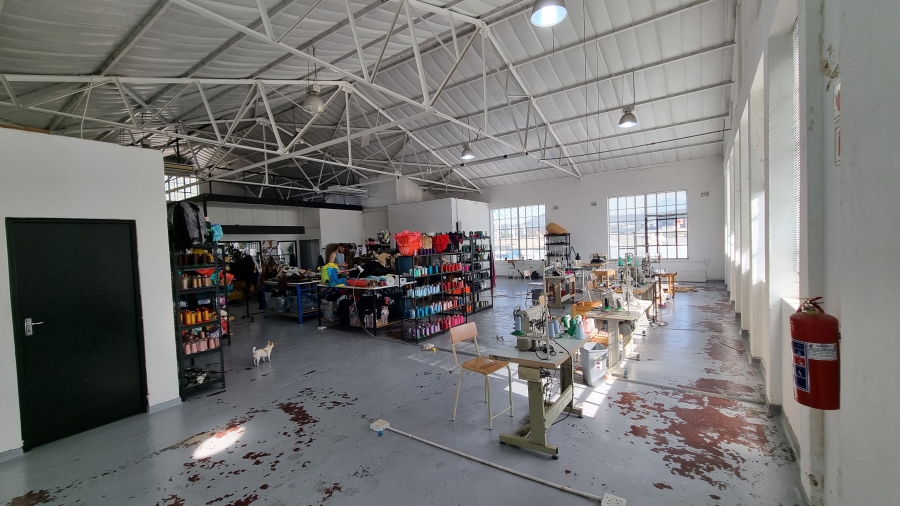 To Let Commercial Property for Rent in Woodstock Western Cape